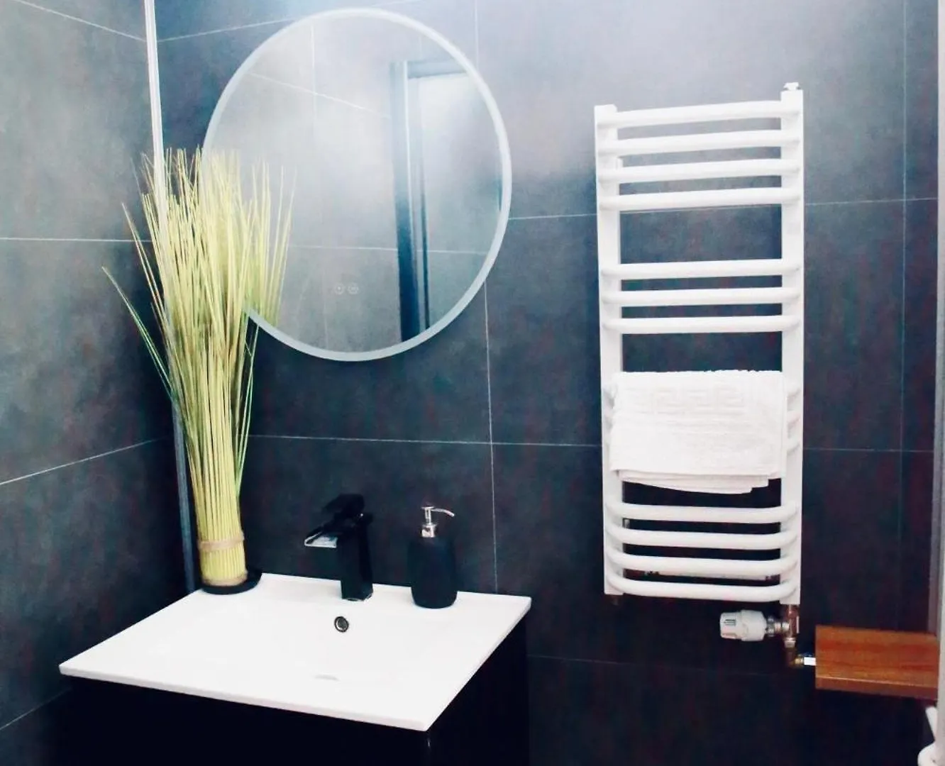 Alison'S Suite Thonon-les-Bains Apartment